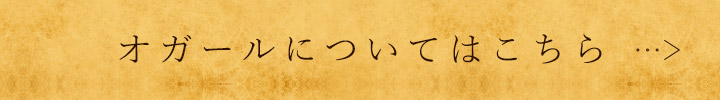 オガールについてはこちら